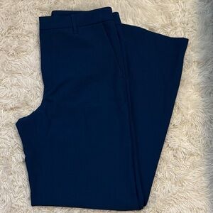 Banana Republic Deep Blue Pants